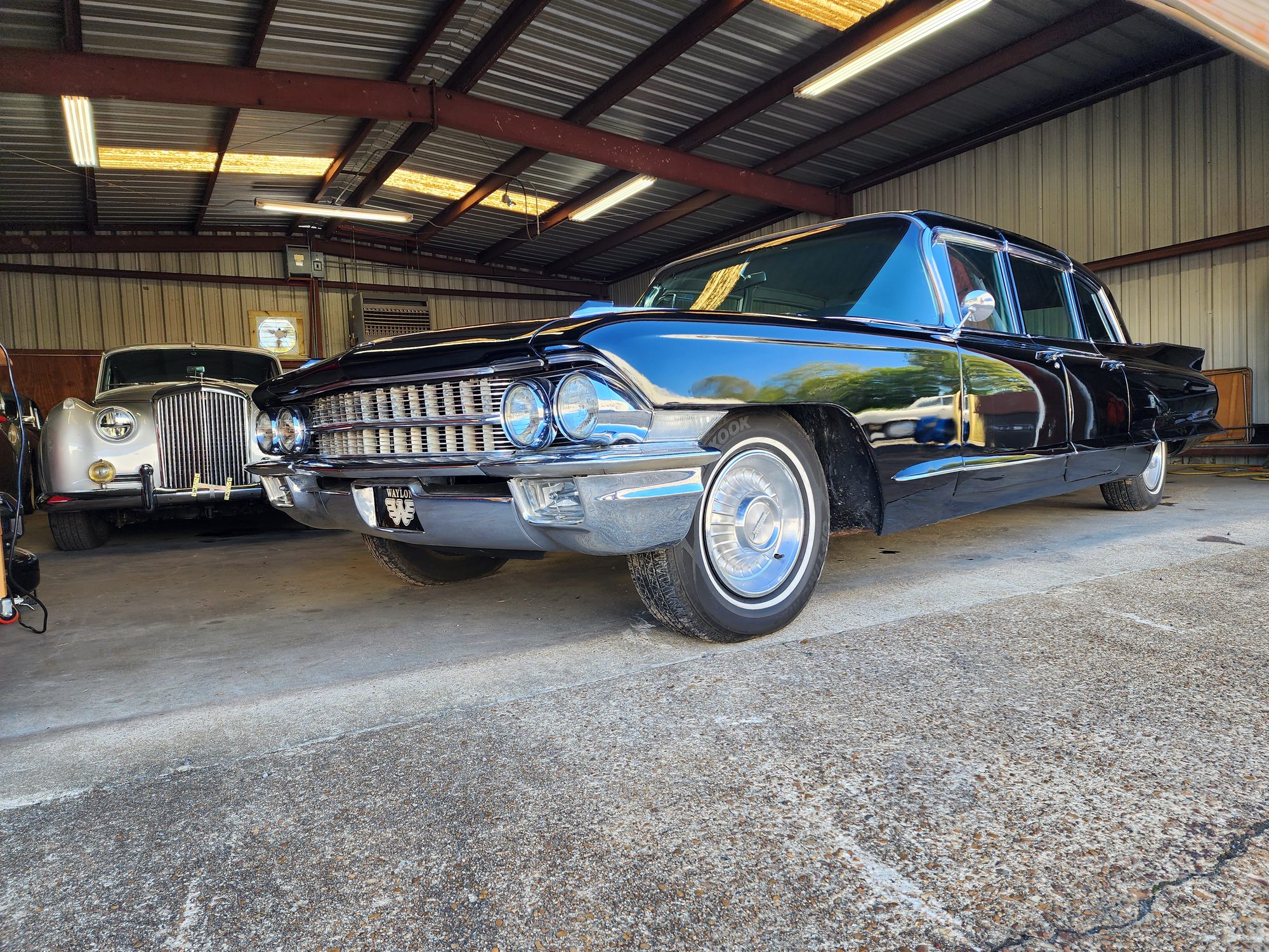Low front view of the limousine with the WAYLON front plate